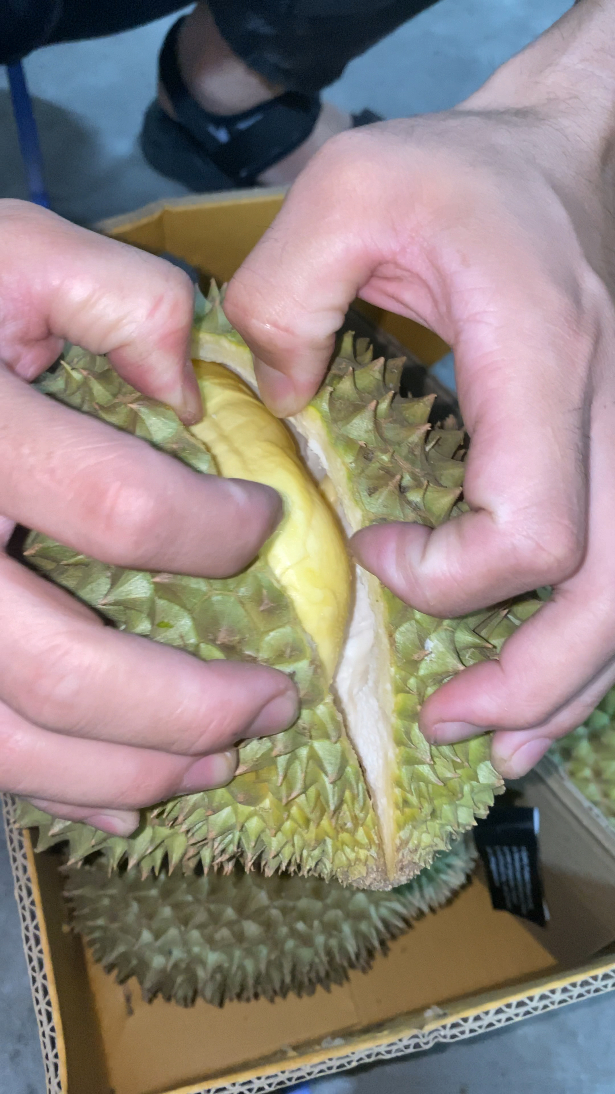 榴莲视频呜呜的(榴莲视频呜呜呜版下载)