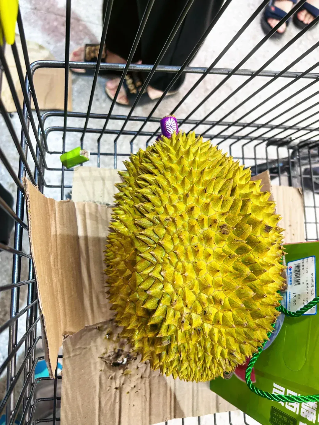 榴莲视频去哪儿了(榴莲视频最近)