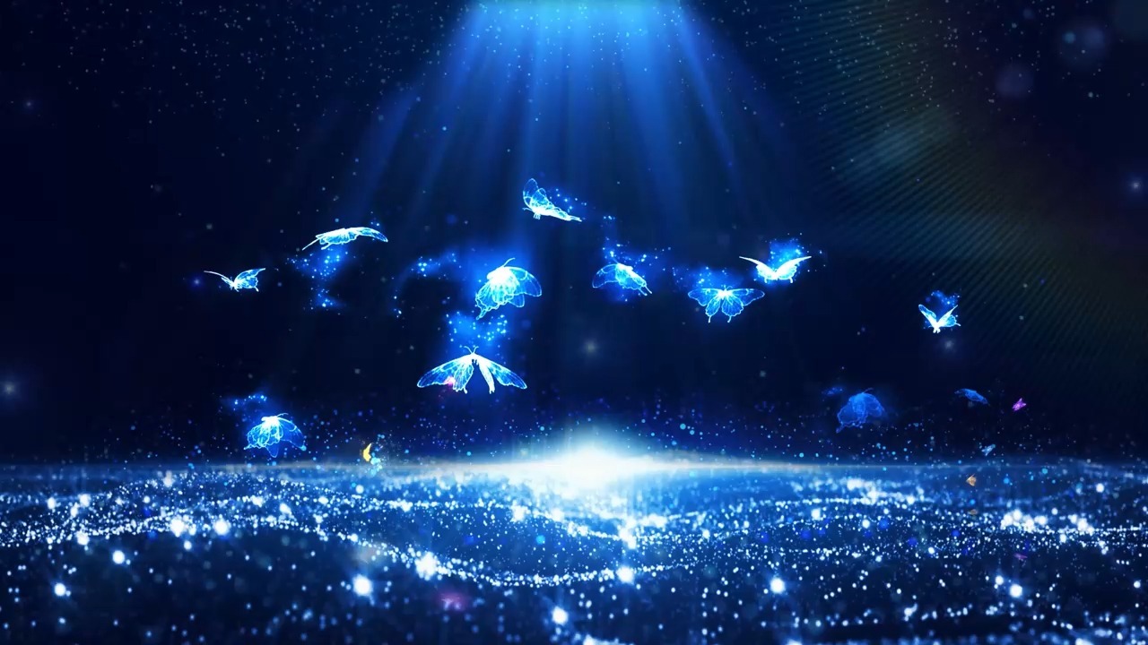 免费的高清视频素材网(免费 视频素材)