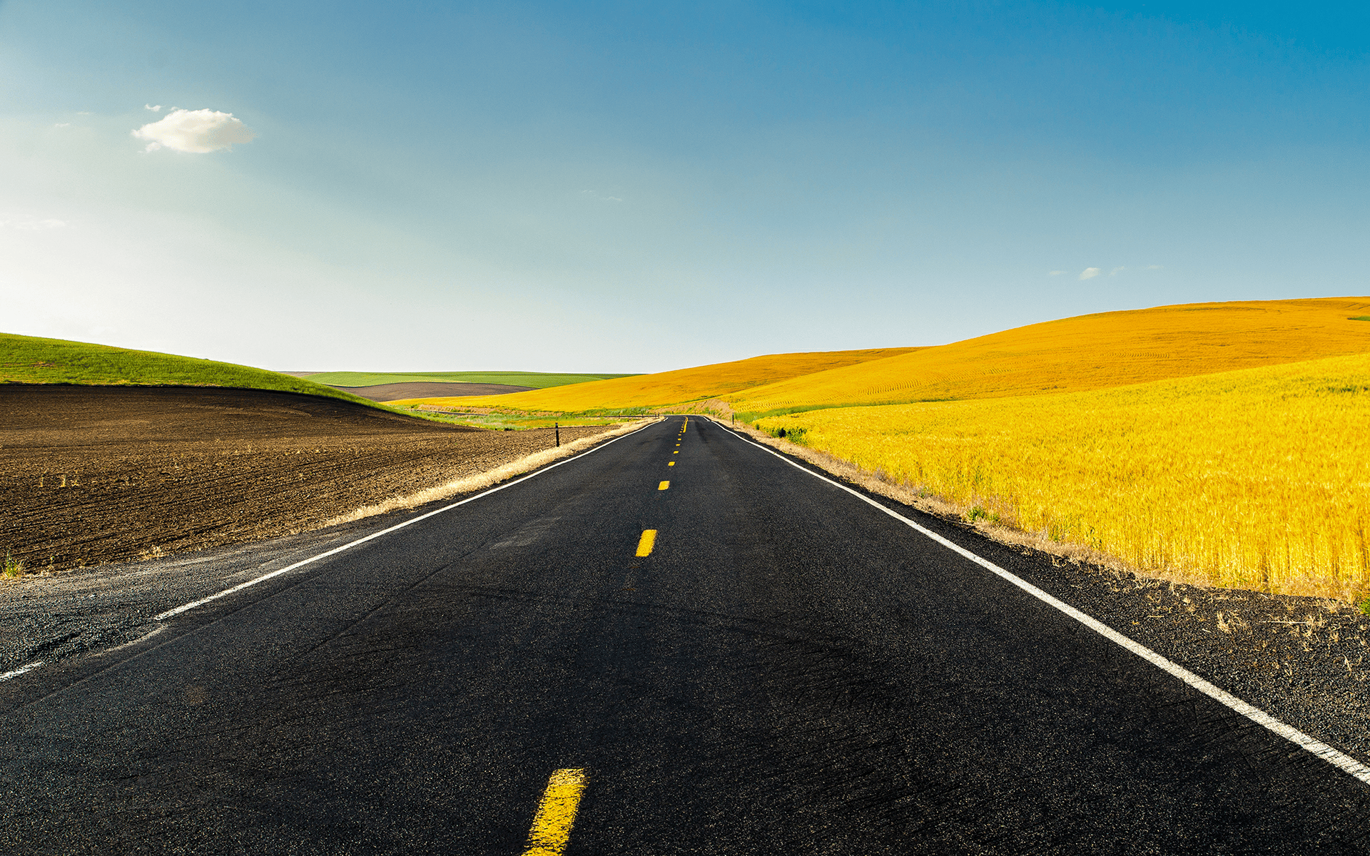 超高清视频素材库免费下载(1080p高清视频素材)