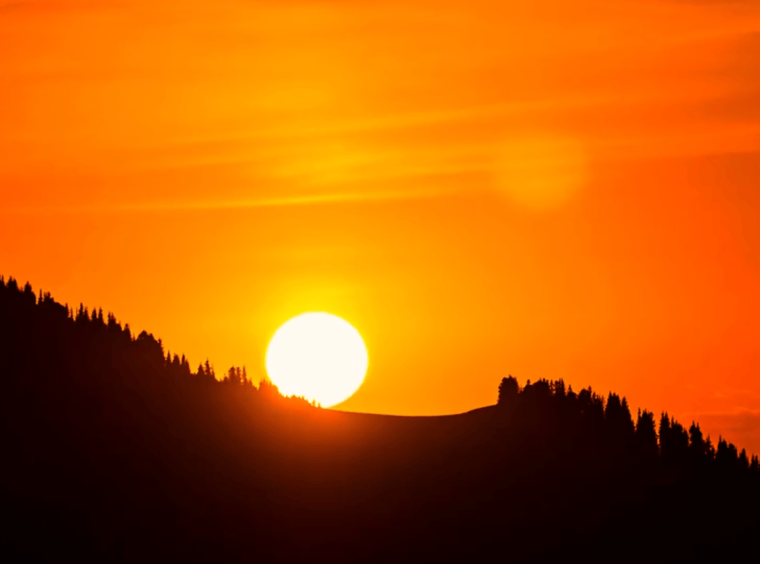 高清视频素材下载免费无水印(高清无版权无水印的视频素材库)