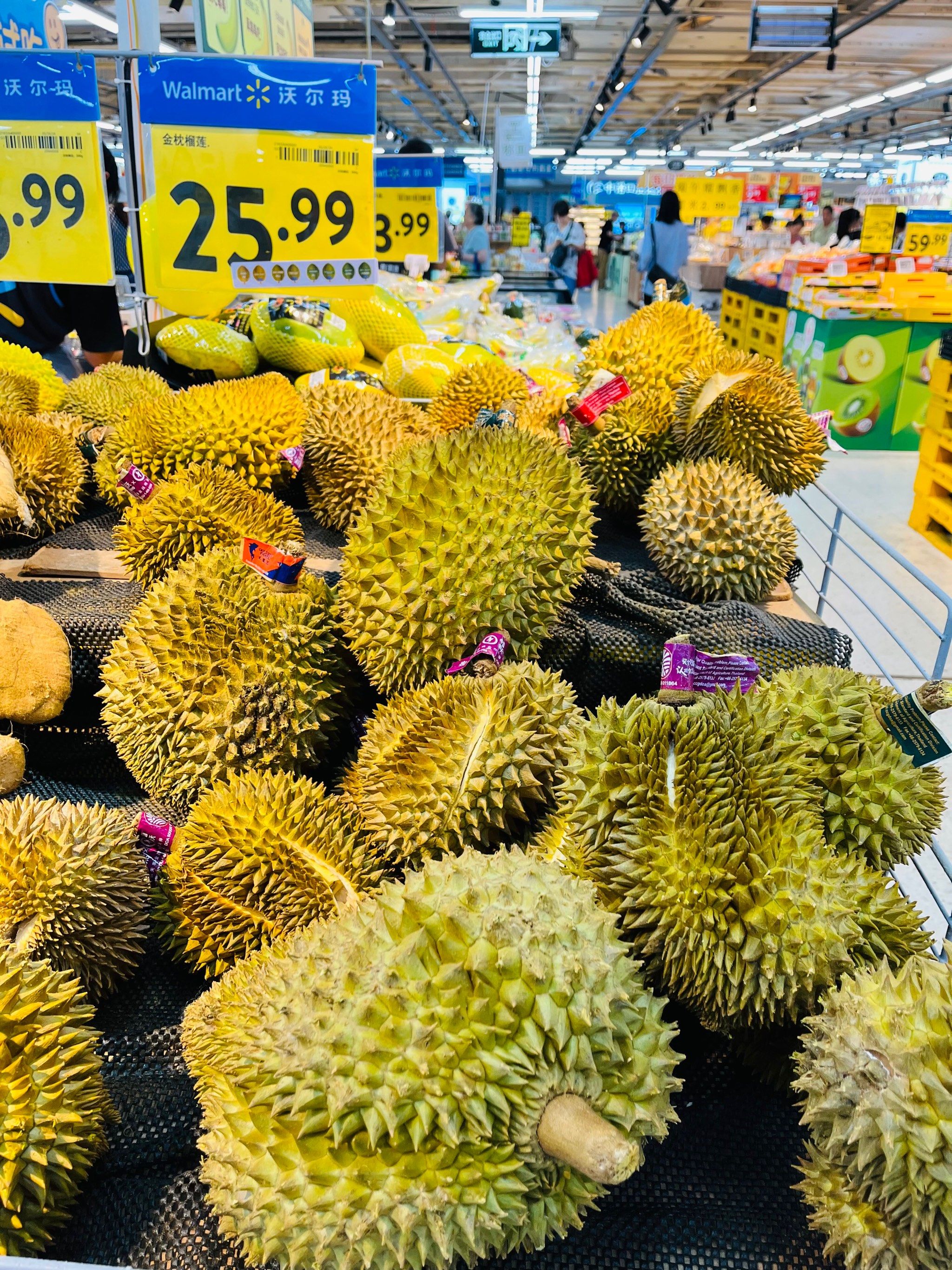 榴莲视频不载(榴莲视频下去)